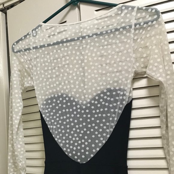 Long Sleeve Sheer Dress - Picture 3 of 4